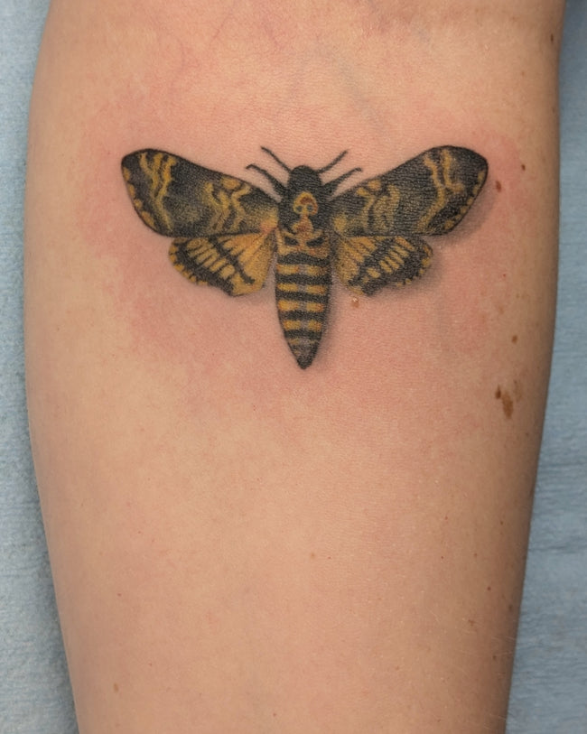 realistic death moth tattoo (Acherontia atropos) – Silence of the Lambs inspired full color forearm piece